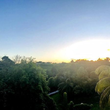L'Ecrin De Verdure Sainte-Anne  Ngoại thất bức ảnh